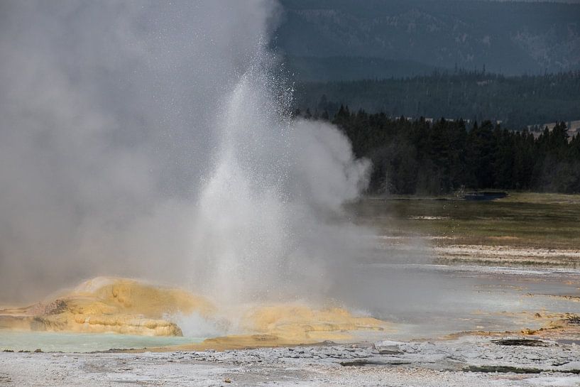 Geysir im Yellowstone von Jan-Thijs Menger