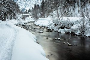 Schneelandschaft