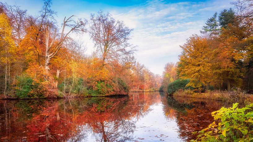 Bunter Panoramablick mit Herbstfarben im Wald von eric van der eijk