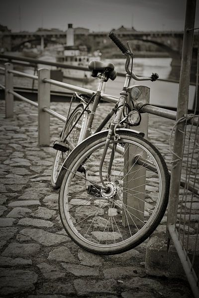 Bicycle on the banks of the Elbe in Dresden by Heiko Kueverling