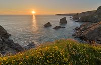 Bedruthan Steps Sonnenuntergang