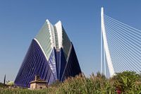 Valencia