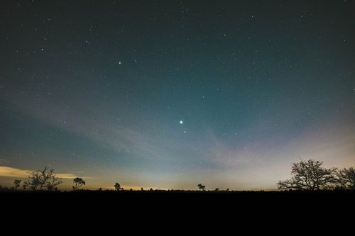 Ciel étoilé sur les dunes de Drunense - Photographie de nuit