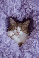 Schlafende Katze in lila Seidenpapier Blumen