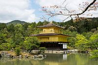 Golden Temple in Kyoto
