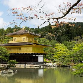 Golden Temple in Kyoto by Ronn Perdok