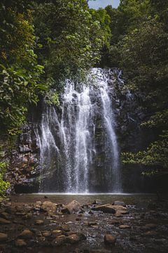 Ellinjaa-Wasserfall: Ein verstecktes Juwel der Atherton Tablelands von Ken Tempelers