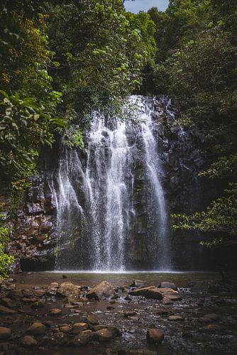 Ellinjaa Waterval: Een Verborgen Juweel van Atherton Tablelands