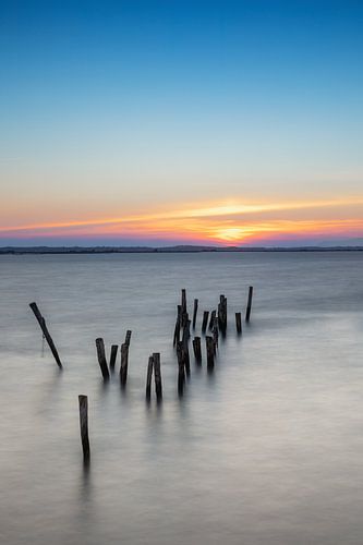 Wooden piles in the water at sunset