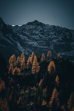 Herbstfarben in den Alpen. Schneebedeckter Berggipfel mit bunten Bäumen