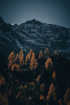 Herfstkleuren in de alpen. Besneeuwde bergtop met kleurrijke bomen van Hidde Hageman