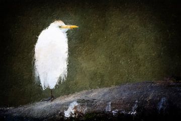 Koereiger op een boomstam (kunst) van Art by Jeronimo