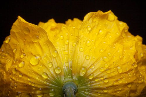 Different perspective