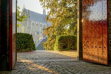 Burcht van Leiden von Dirk van Egmond