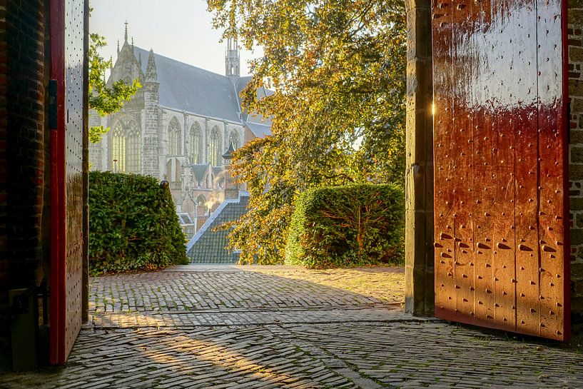 Burcht van Leiden by Dirk van Egmond