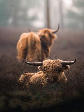 Silent Guardians of the Forest