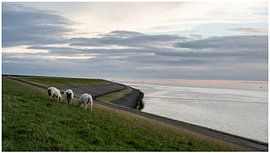 Sonnenuntergang von Kathleen Ooms