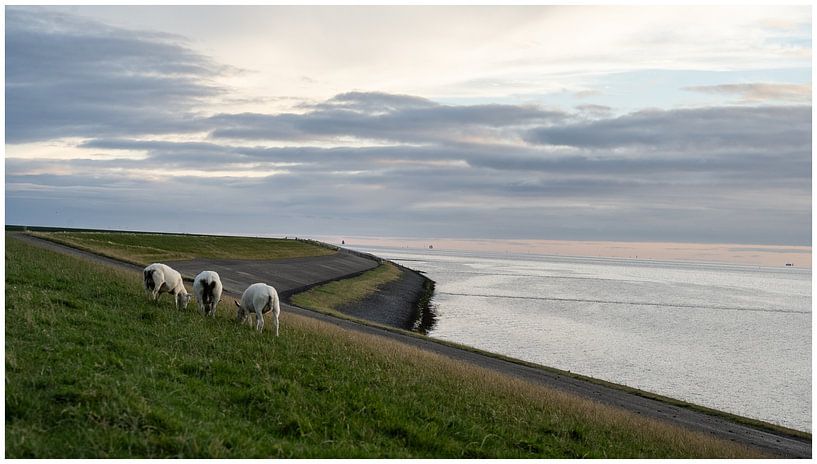 Coucher de soleil par Kathleen Ooms