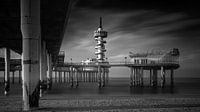 Pier van Scheveningen  #4417