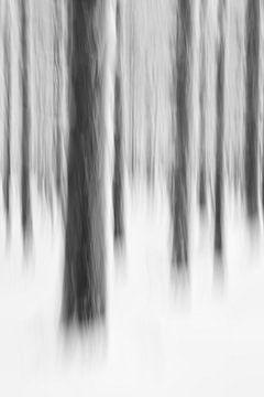 Barcode - Winter Forest abstract van Rolf Schnepp