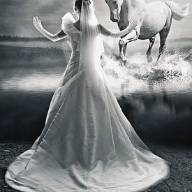 Bruid met haar witte paard van PAM fotostudio