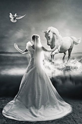 Bruid met haar witte paard