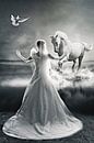 Bruid met haar witte paard van PAM fotostudio thumbnail