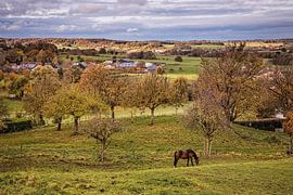 Dateien von Rob Boon