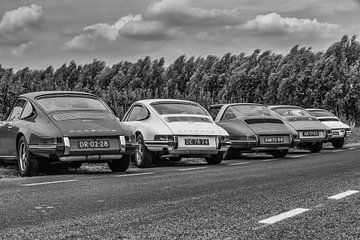 Porsche classics in a row