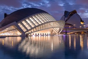 Stad van de kunsten en wetenschap Valencia van Sjors Gijsbers