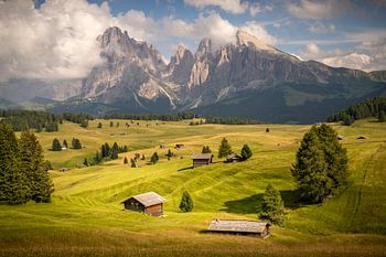 Seiser Alm dans les Dolomites