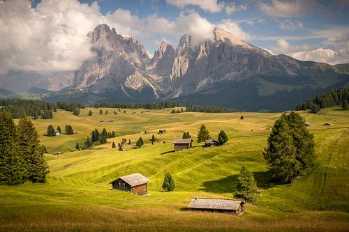 Seiser alm in de Dolomieten