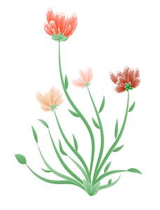 Belle fleur sur fond blanc