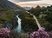 Rivier parallel aan snelweg in Nieuw Zeeland nabij Queenstown. van Niels Rurenga thumbnail