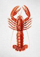 Lobster - Watercolor