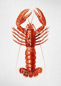 Lobster - Watercolor
