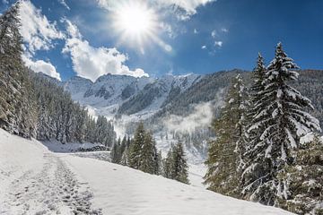 Winterwandelpad op de Klausberg, Tauferer Ahrntal, Zuid-Tirol van Christian Müringer