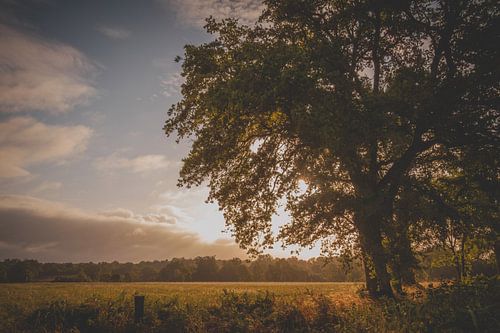 Zonopkomst in Lignac sur ramona stoker