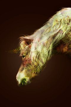 fern unicorn by Kim van Beveren