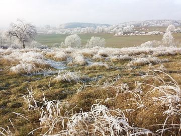 winterlandschap van Andrea Meister