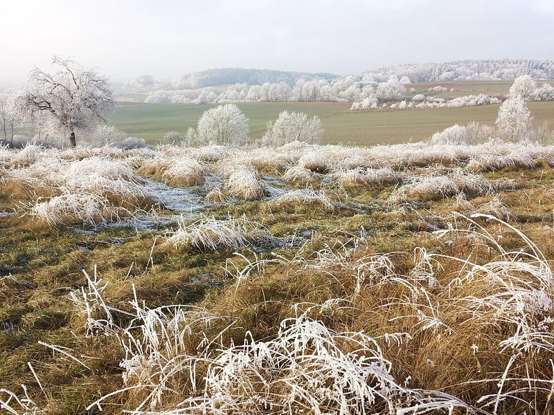 winterlandschap van Andrea Meister