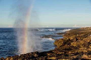 Die raue Seite von Curacao. von Janny Beimers