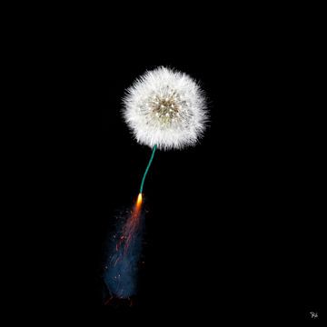 Fluffy Fire - Conceptueel foto werk van Michel Rijk