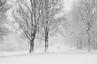 Winterstilte