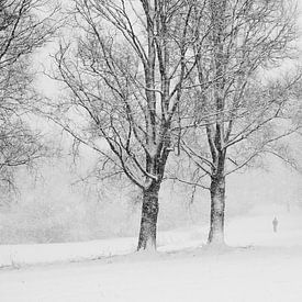 Winterstilte sur M.e. Amrani