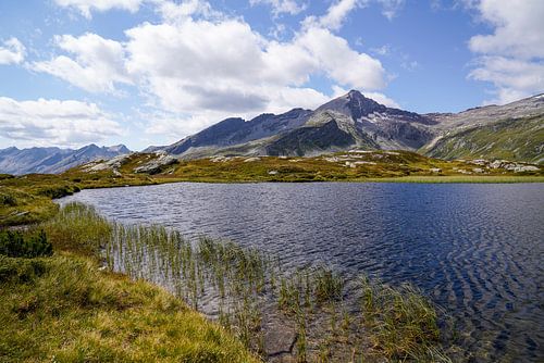 Zomers berglandschap in Zwitserland met groene alpenweiden en markante bergtoppen.