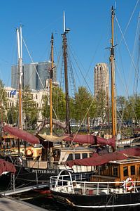 Vieux navires à Veerhaven Rotterdam