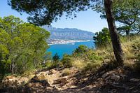 Dennenbos en de Middellandse Zeekust in Altea