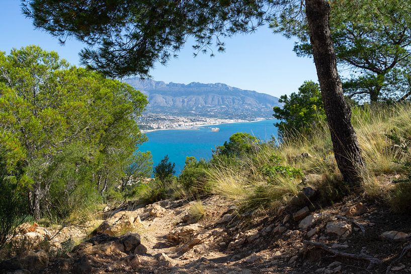 Dennenbos en de Middellandse Zeekust in Altea van Adriana Mueller