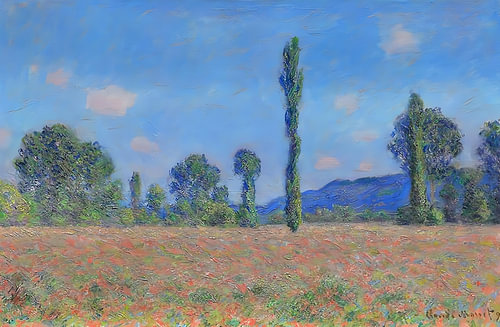 Poppy Field Under Blue